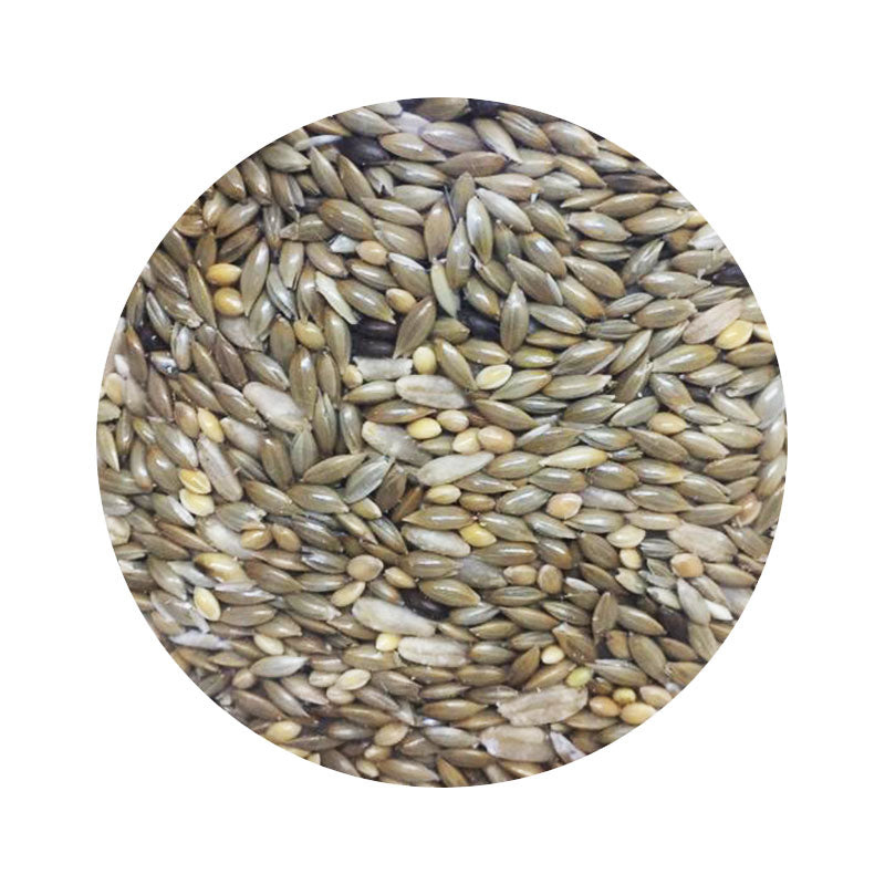avena