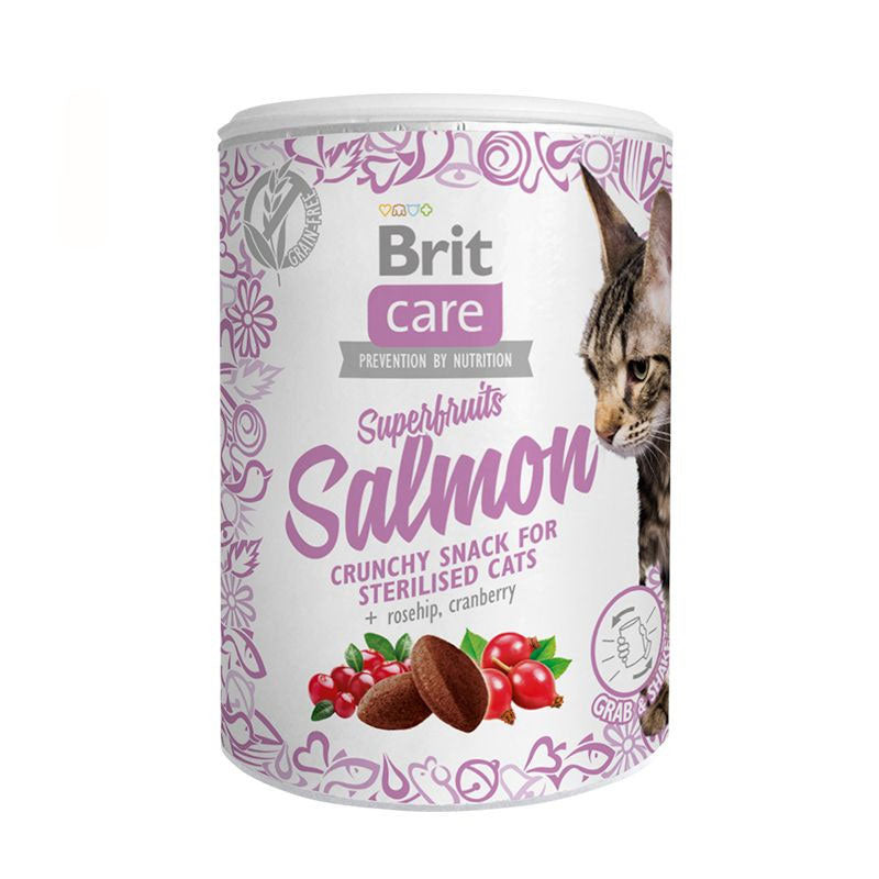 Brit superfruits salmon 100g