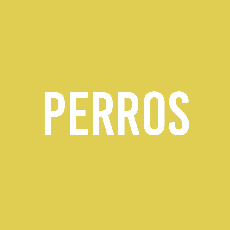 Perros