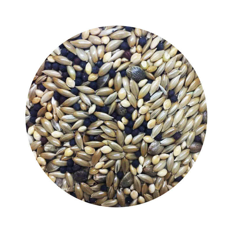 Mezcla canario 1kg