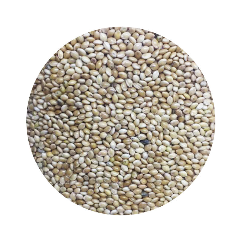 Semilla mijo 1kg