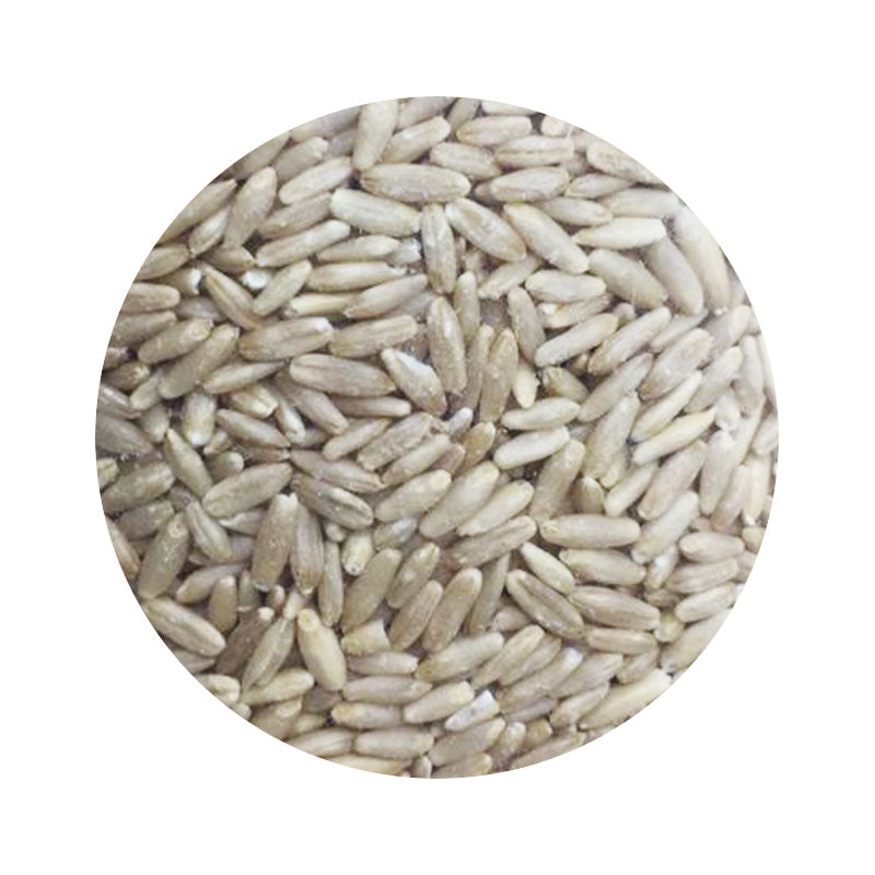 semilla Alpiste 1kg