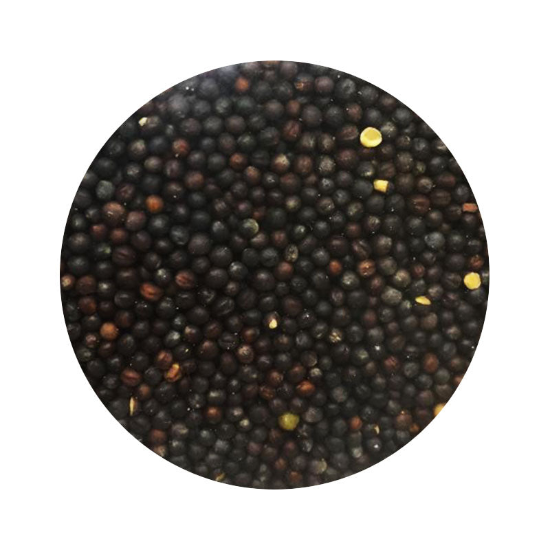 semilla raps 500gr