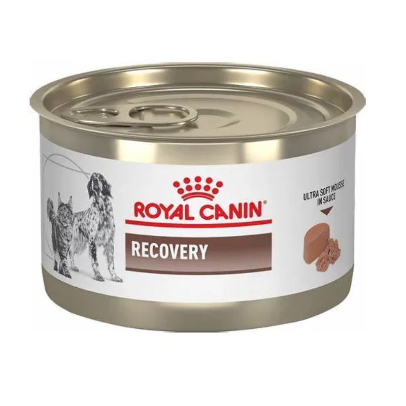 ROYAL CANIN LATA RECOVERY 145 GR