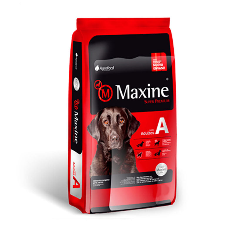 Maxine Adulto 21kg
