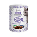 Brit superfruits kitten 100gr
