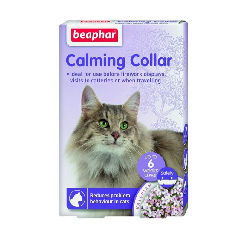Calming collar gato